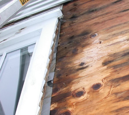 C:\Users\jeff\Desktop\To review CLM\1 Decayed sheathing behind clapboards.JPG