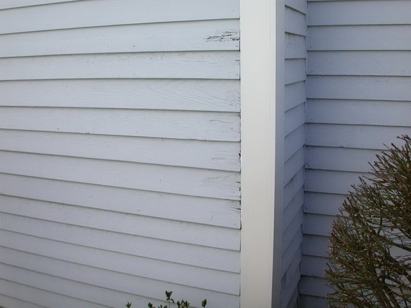 C:\Users\jeff\Desktop\To review CLM\Decayed clapboards at corner.jpg