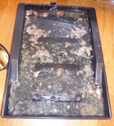 C:\Users\Owner\Desktop\15 steps\P1200980 moldy Sub Zero drip pan Silverstein.JPG