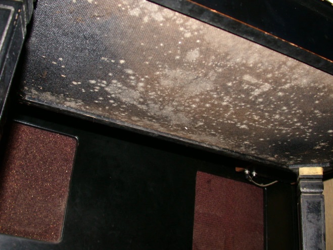 C:\Users\Owner\Desktop\Newsletters\Healthy Indoors Magazine\2019\Pics for Moisture Moisture Everwhere\It is common to find mold growing on the bottoms of piano bemnches.JPG