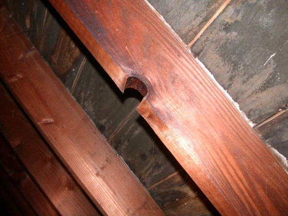 \\JEFF-PC\Users\jeff\Documents\Attic\Attic mold Bottom 8917.JPG