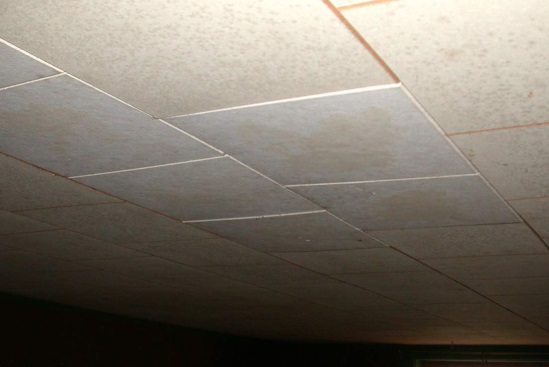 \\JEFF-PC\Users\jeff\Documents\Basement\Ceiling mildew 1864.JPG