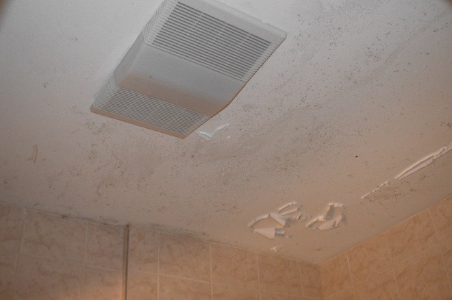 \\JEFF-PC\Users\jeff\Documents\Bathroom\Bathroom ceiling mold 5788.JPG