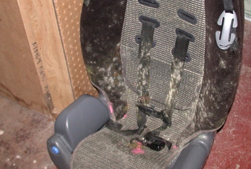 \\JEFF-PC\Users\jeff\Documents\Furniture moldy\6839 moldy car seat.JPG