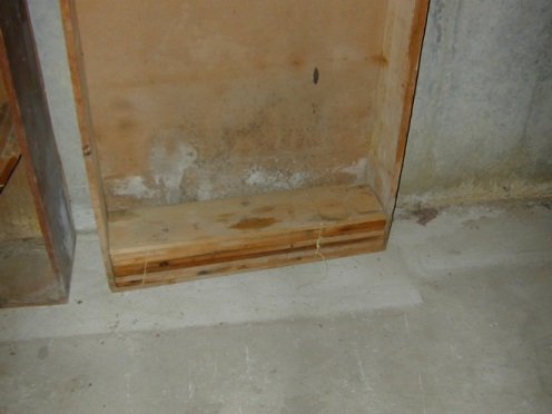 \\JEFF-PC\Users\jeff\Documents\Mold photos misc\moldy bookcase Metcalf bsmnt 0398.JPG