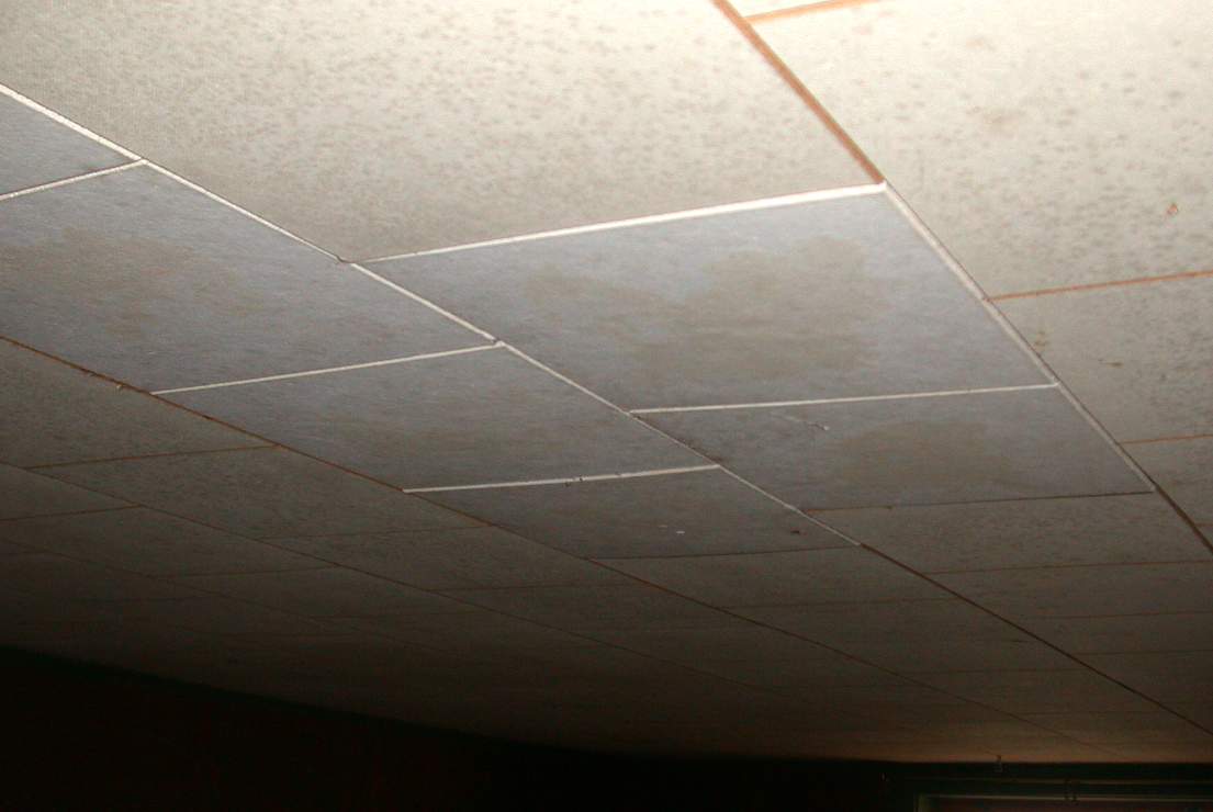 E:\Documents\Basement\Ceiling mildew 1864.JPG