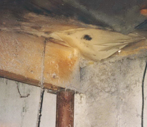 C:\Users\jeff\Desktop\Newsletters\May's Ways 0124\dryer vent in crawl space.jpg