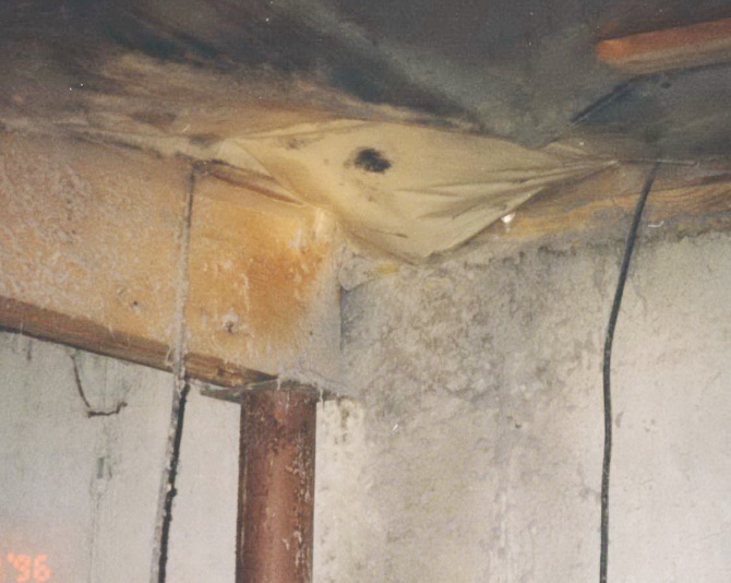 A dryer was venting into this crawlspace, leading to lint buildup and mold growth on surfaces.