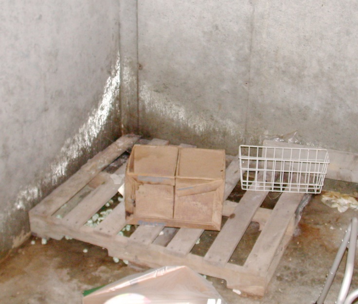 Moisture (reflecting the photo flash) was condensing on the foundation walls, and the foundation and stored goods were moldy.