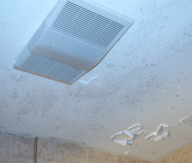 Mold growth and peeling paint on a bathroom ceiling
