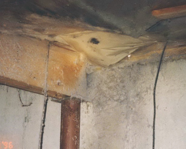 C:\Users\Owner\Desktop\updated visuals summer IAQ IQ\dryer vent in crawl space.jpg