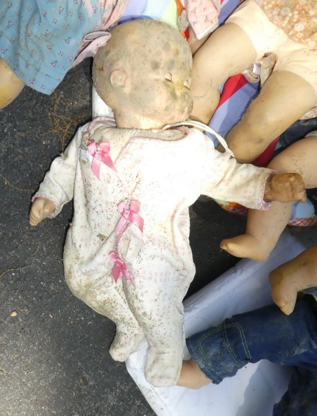 C:\Users\Owner\Downloads\P1110620 moldy doll.JPG